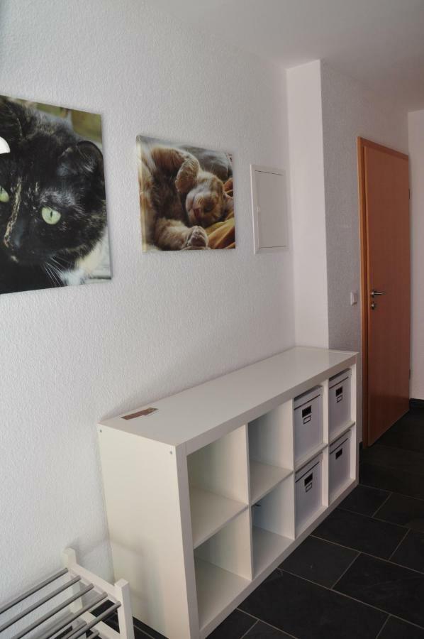 Ferienwohnung Roter Kater Am Nationalpark Eifel Bergbuir Zewnętrze zdjęcie